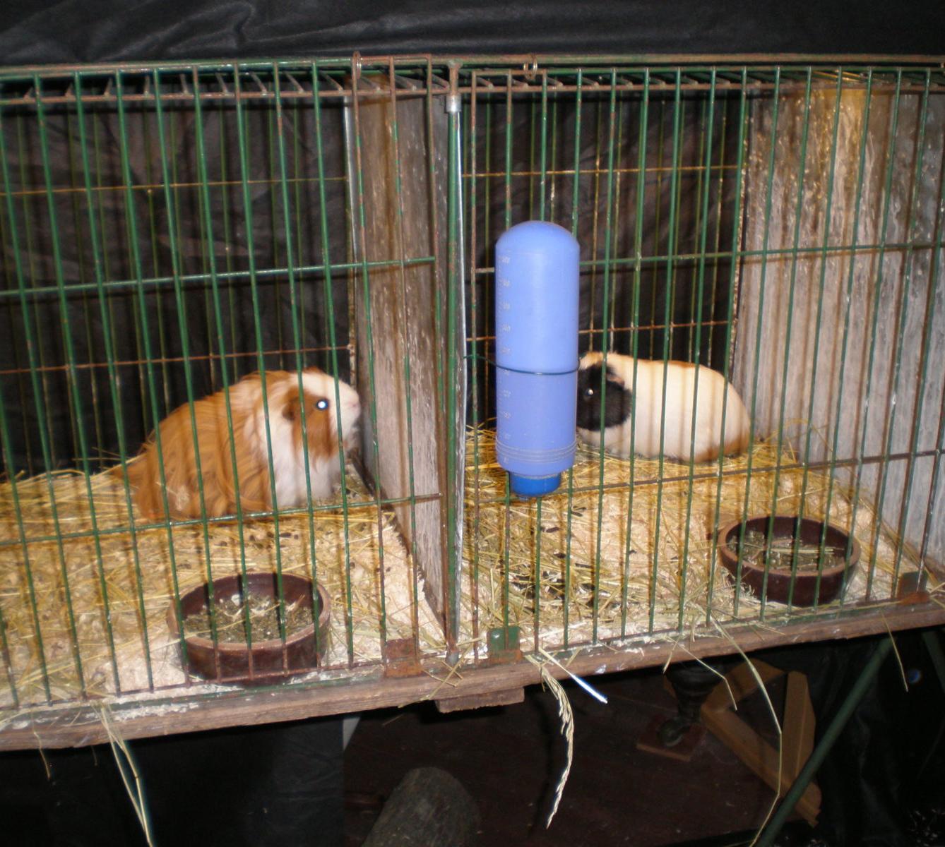 Výlet 1. třídy do Potštejna - 10