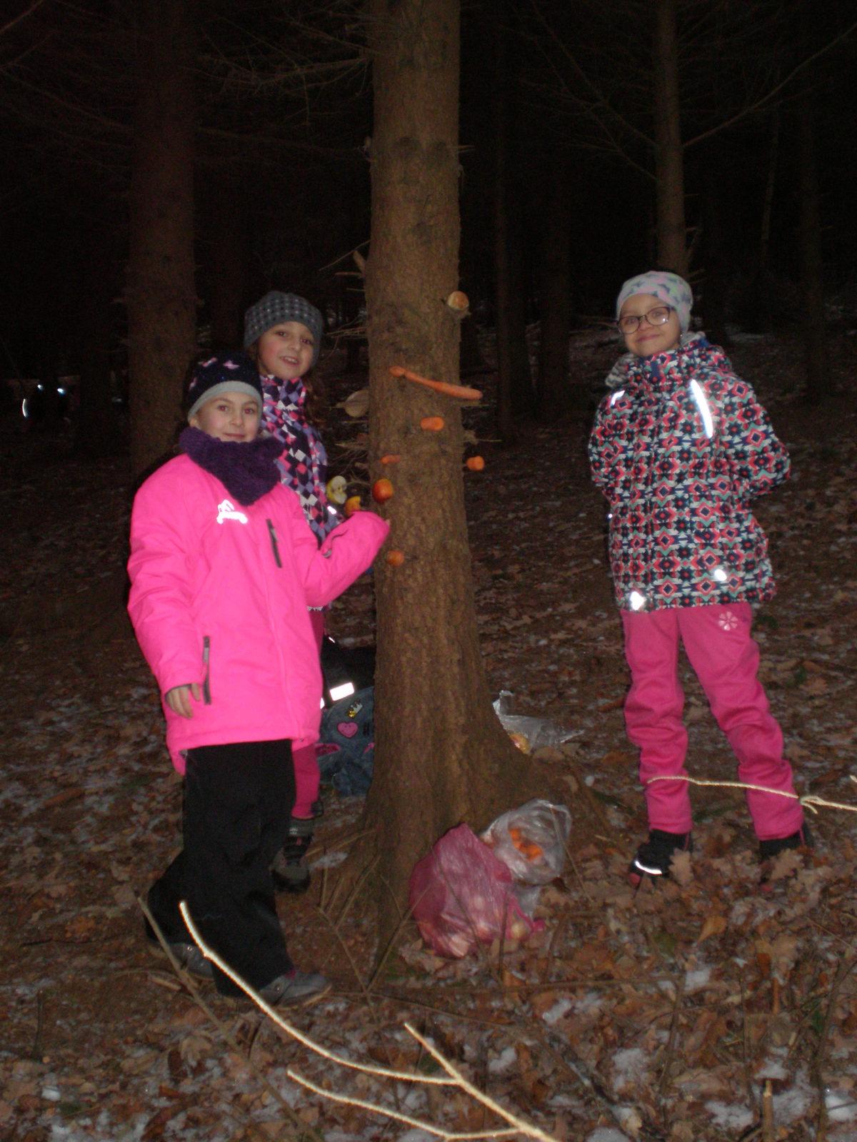 Vánoční les 1. stupeň - 11