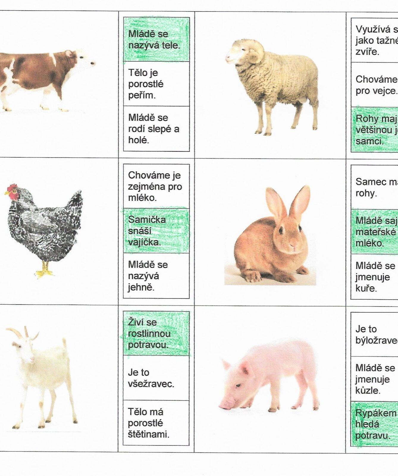 Příroda u třeťáčků 30. 5. - 39