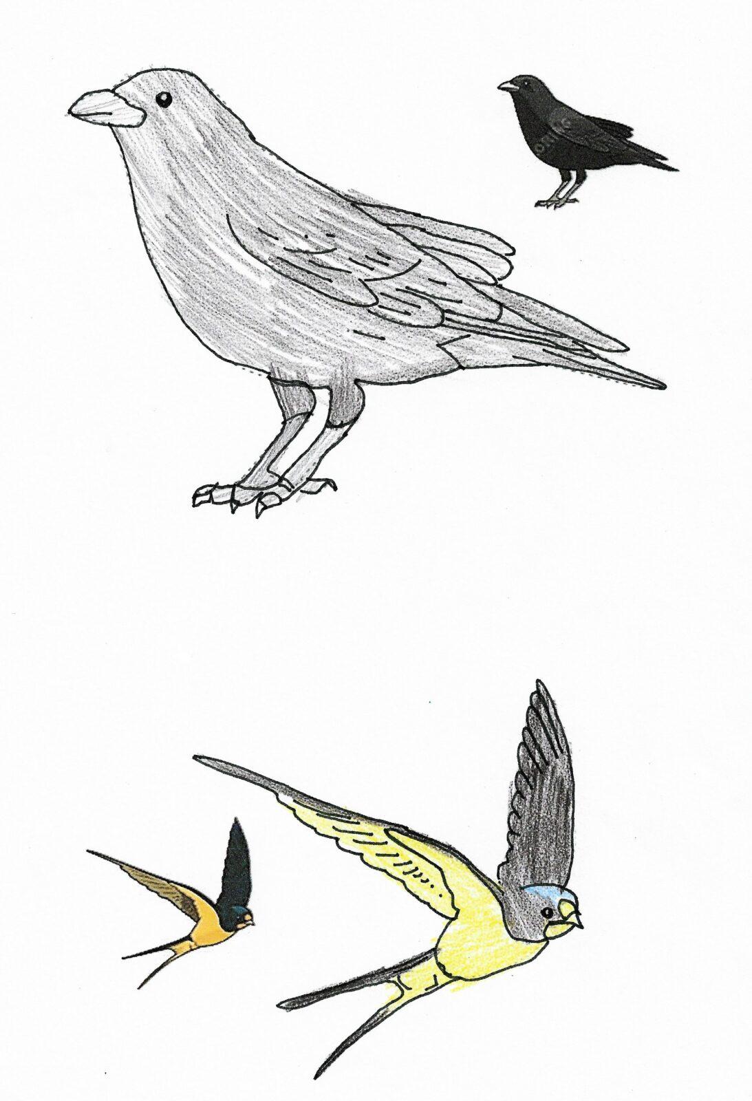 Činnosti u třeťáčků 6. 6. - 40