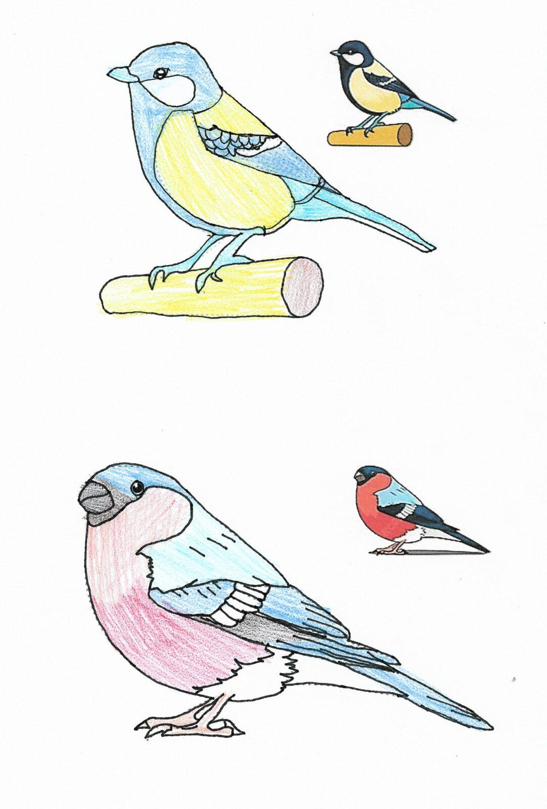 Činnosti u třeťáčků 6. 6. - 41