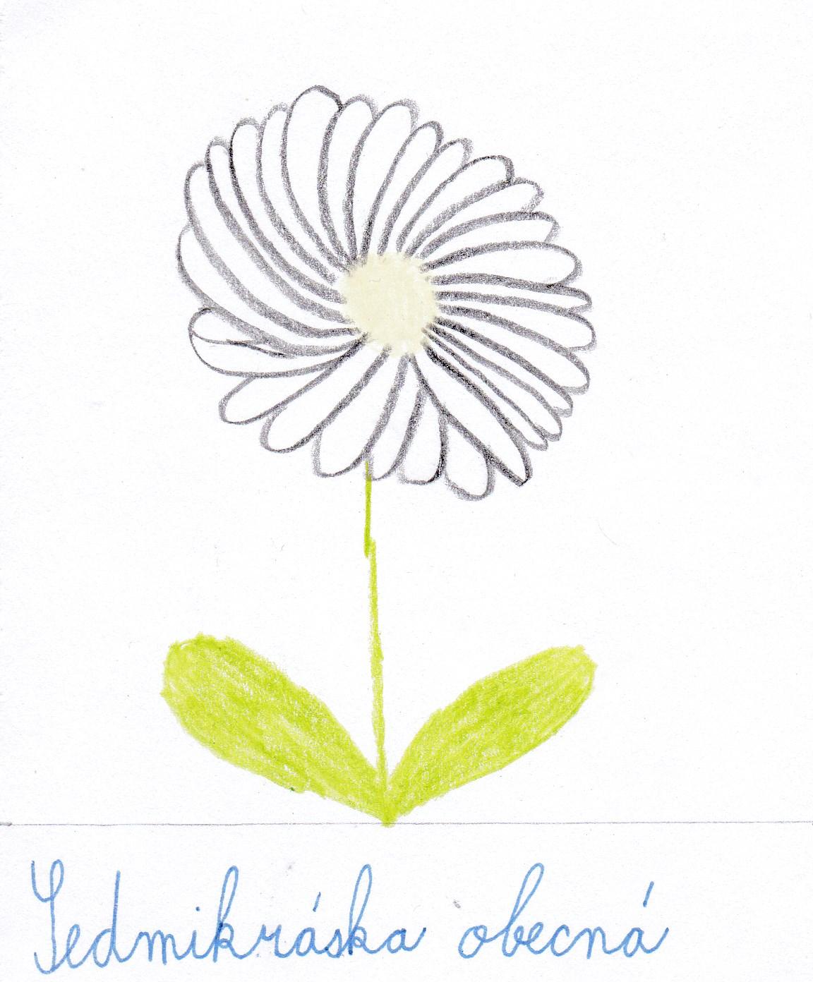 Den Země od třeťáčků 22. 4. - 22