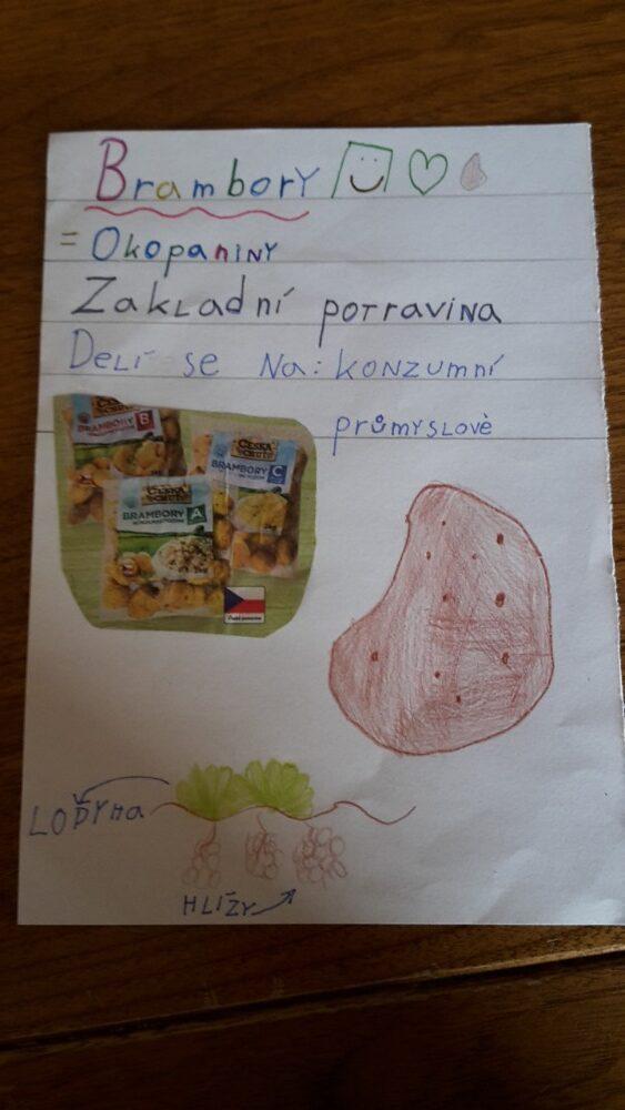 Distanční výuka ve třetí třídě 23. 10. - 40