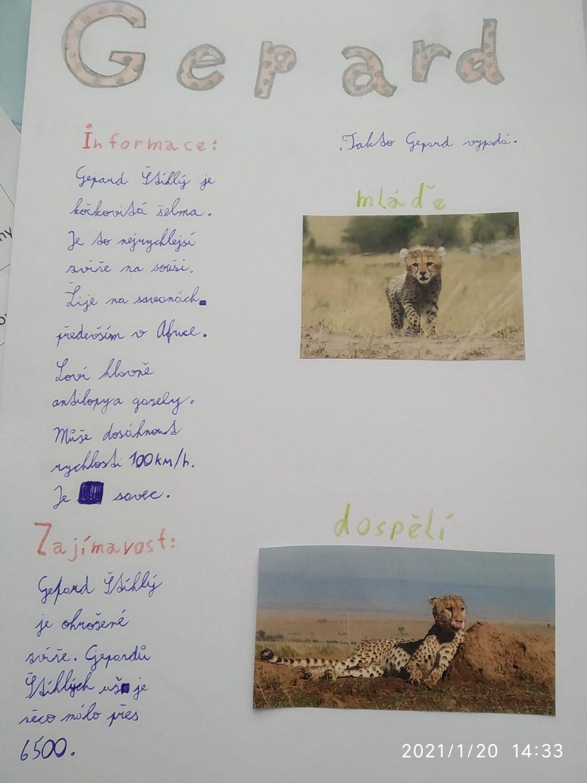 Škola doma v 5.B - 13