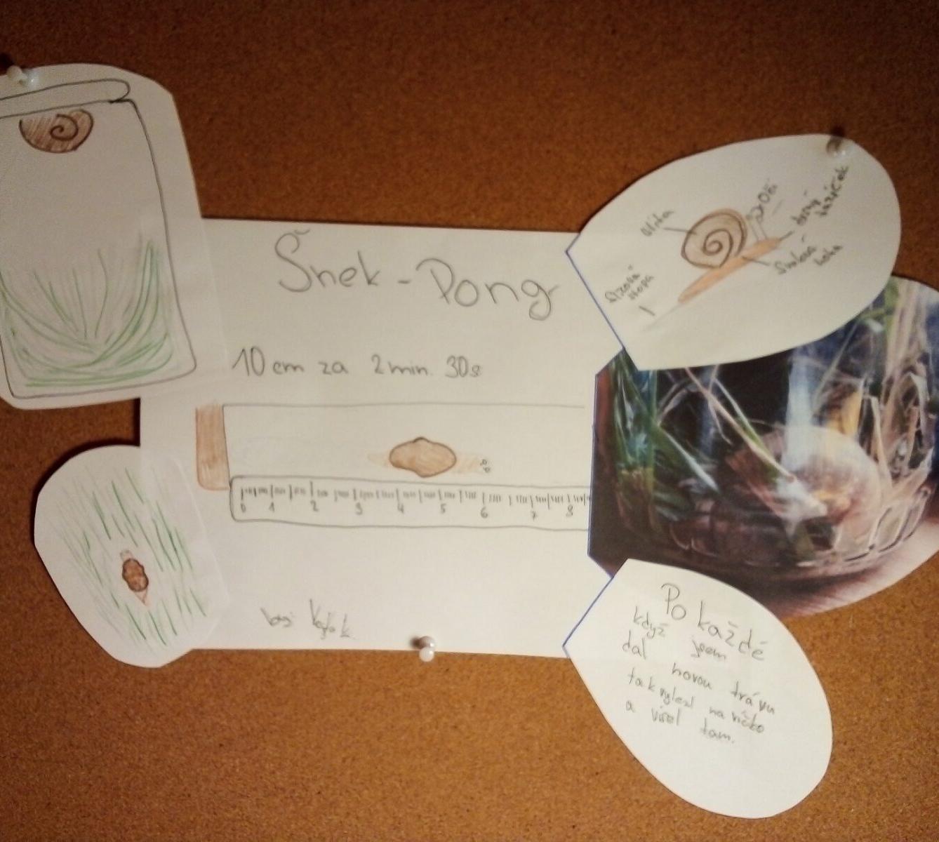 Projekt "Hlemýžď" v 6. třídě - 5