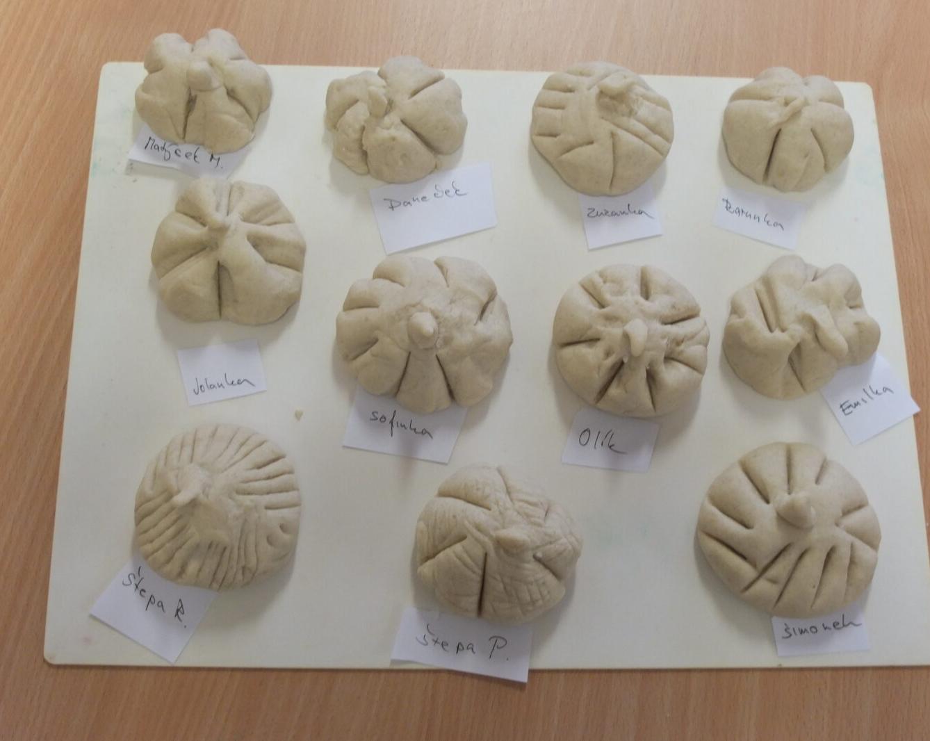 Človíček se představuje - 8