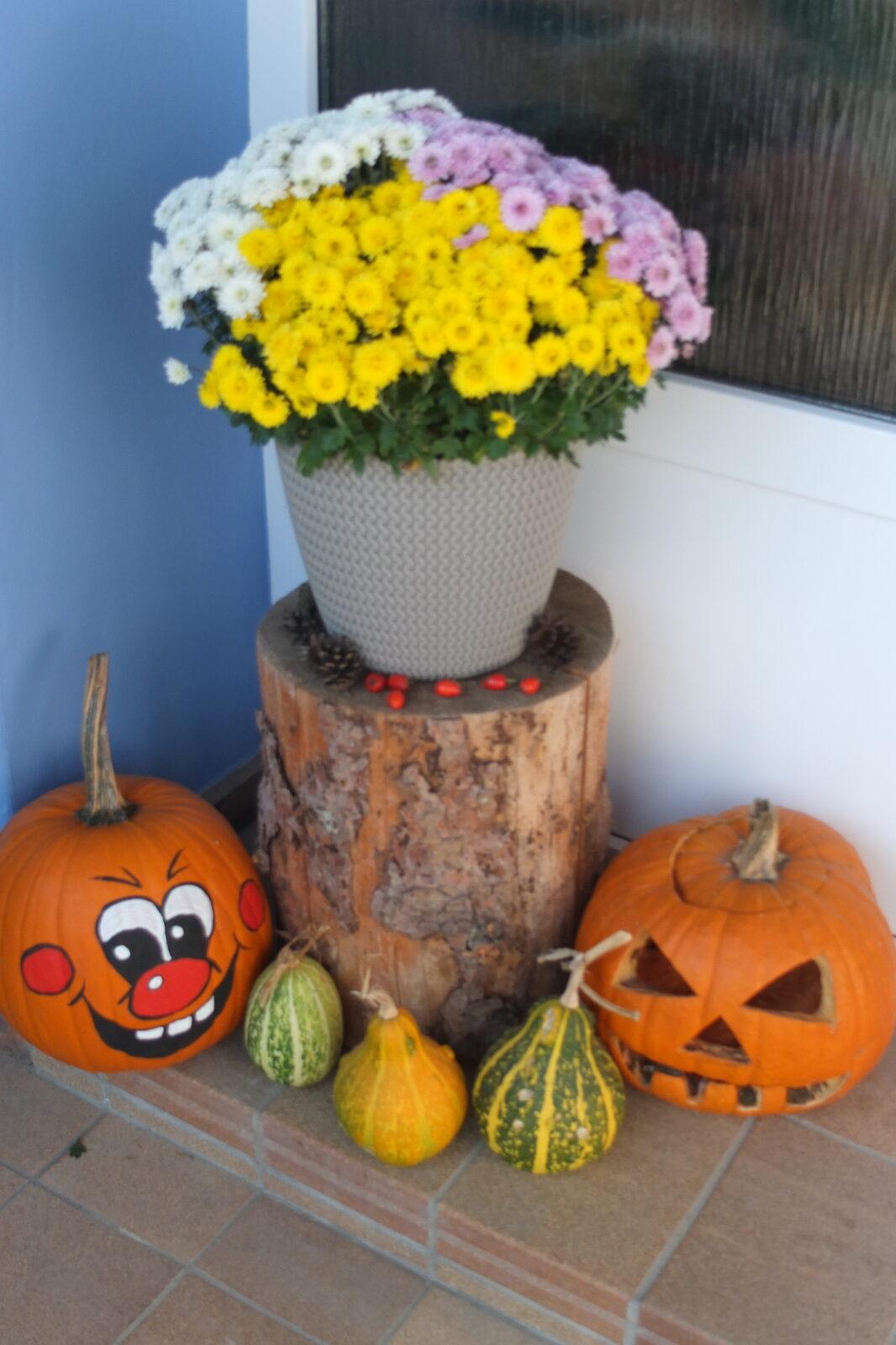 Človíček se představuje - 22