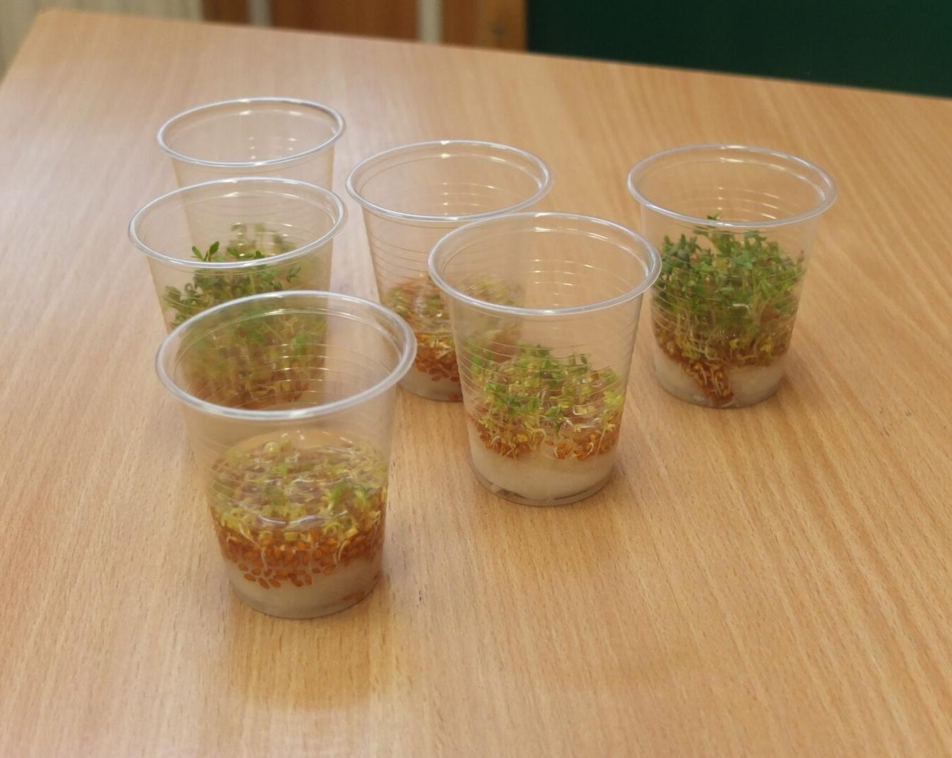 Človíček se představuje - 35