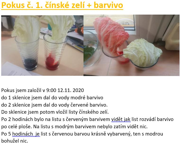 Laboratorní práce FOTOSYNTÉZA v 6.třídě - 7