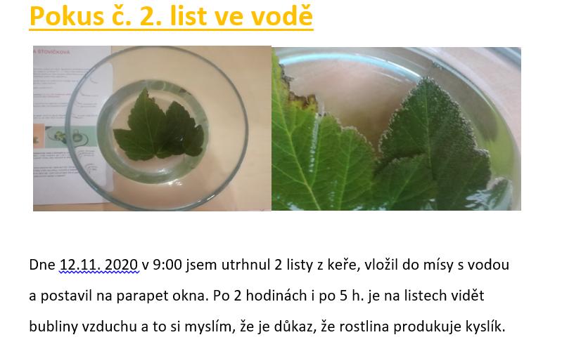 Laboratorní práce FOTOSYNTÉZA v 6.třídě - 8