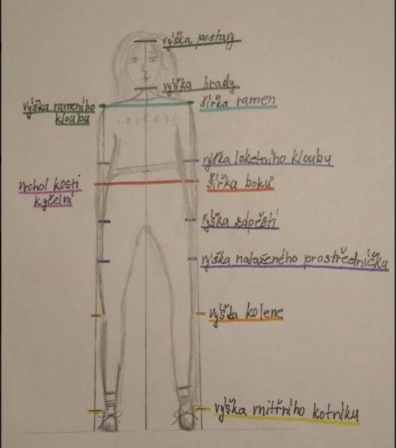 ANTROPOMETRIE - téma LP v 8. třídě - 11