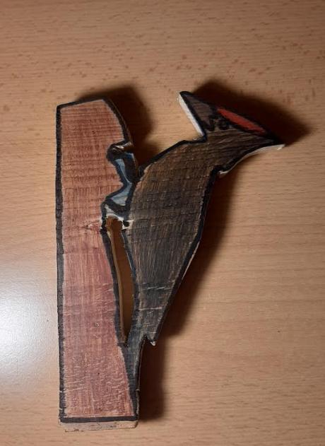 Spojení přírodopisu s pracovními činnostmi u sedmáků - 14