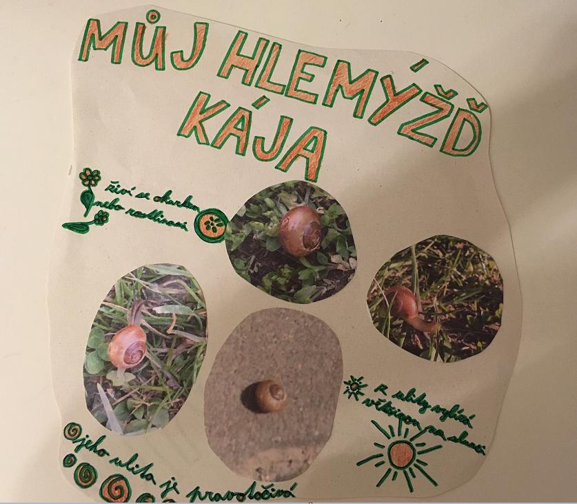 Projekt "Hlemýžď" v 6. třídě - 7