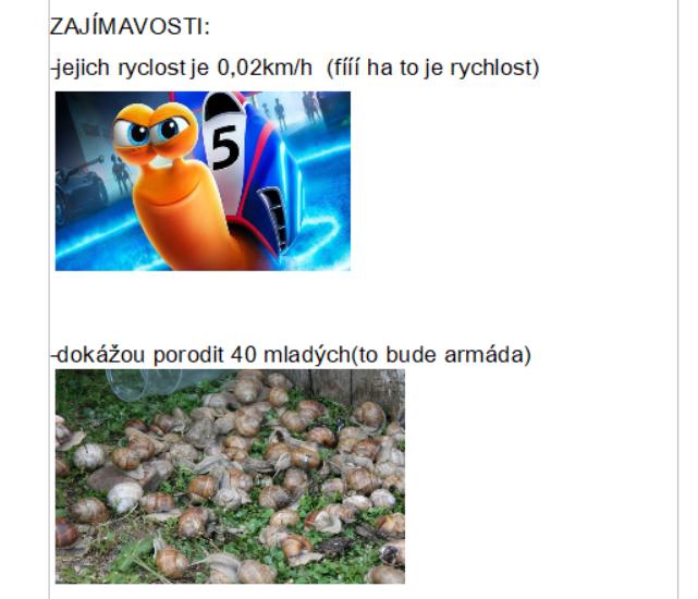 Projekt "Hlemýžď" v 6. třídě - 10