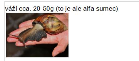 Projekt "Hlemýžď" v 6. třídě - 11