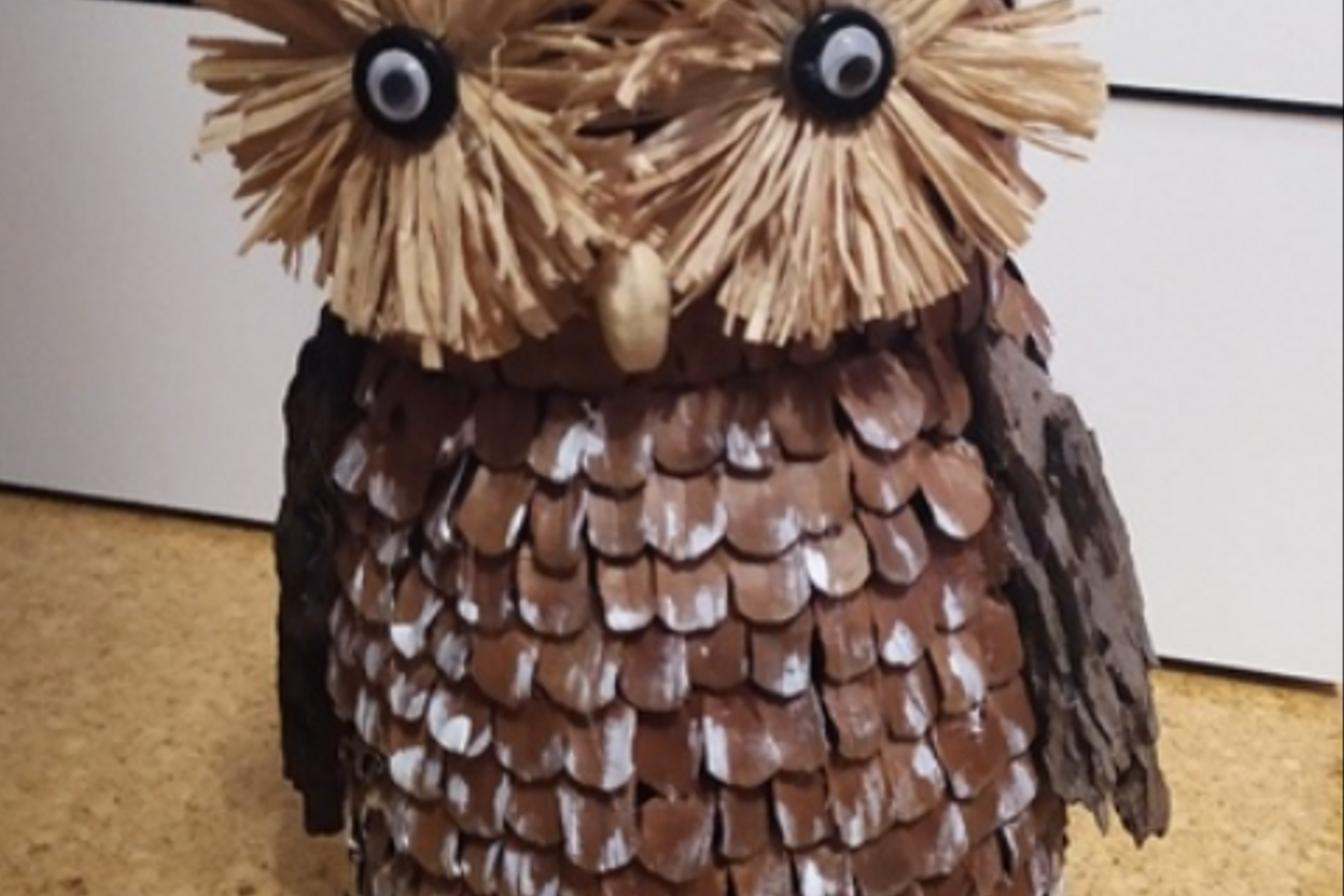 Zapoj se do hlasování a podpoř své spolužáky