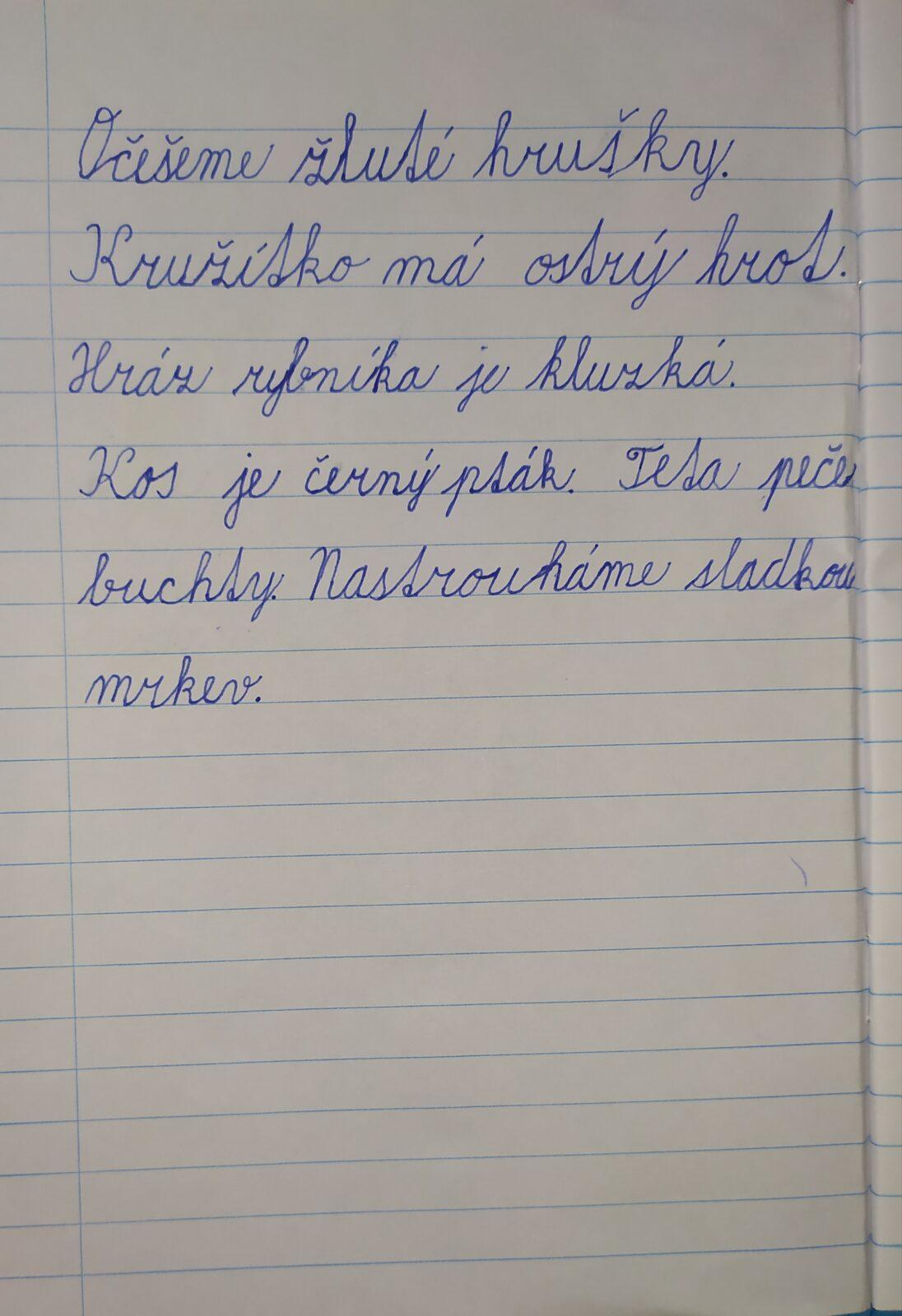 Distanční výuka ve třetí třídě 6. 11. - 42