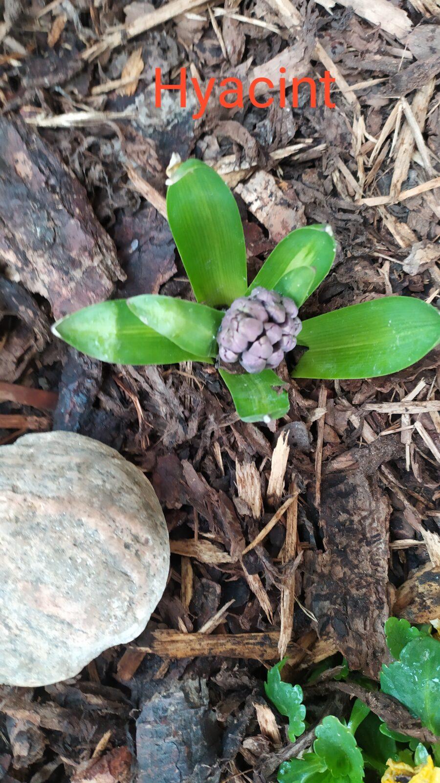 Distanční výuka ve třetí třídě 16. 4. - 30