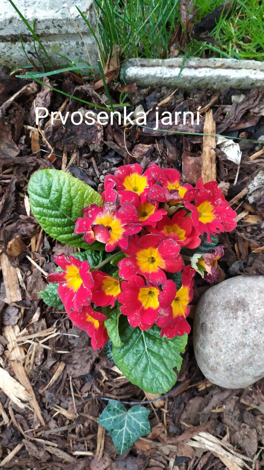 Distanční výuka ve třetí třídě 16. 4. - 31