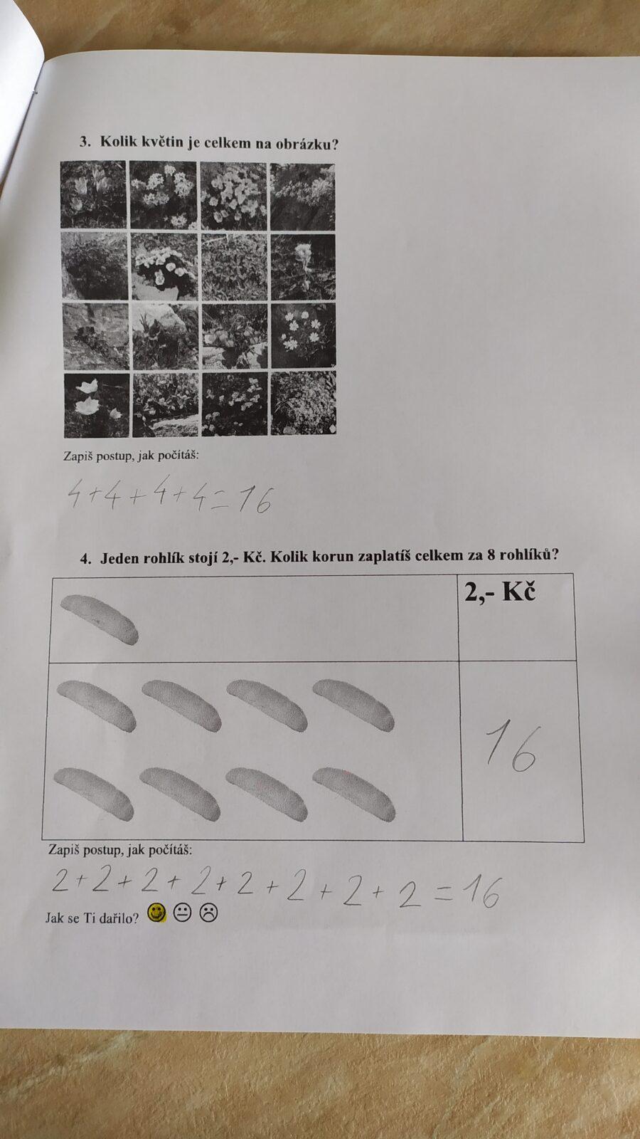 Výstupy druháčků z domácího učení 21. 5. - 25