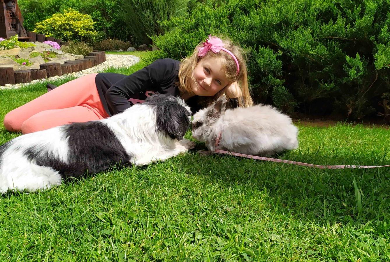 Výstupy druháčků z domácího učení 5. 5. - 24