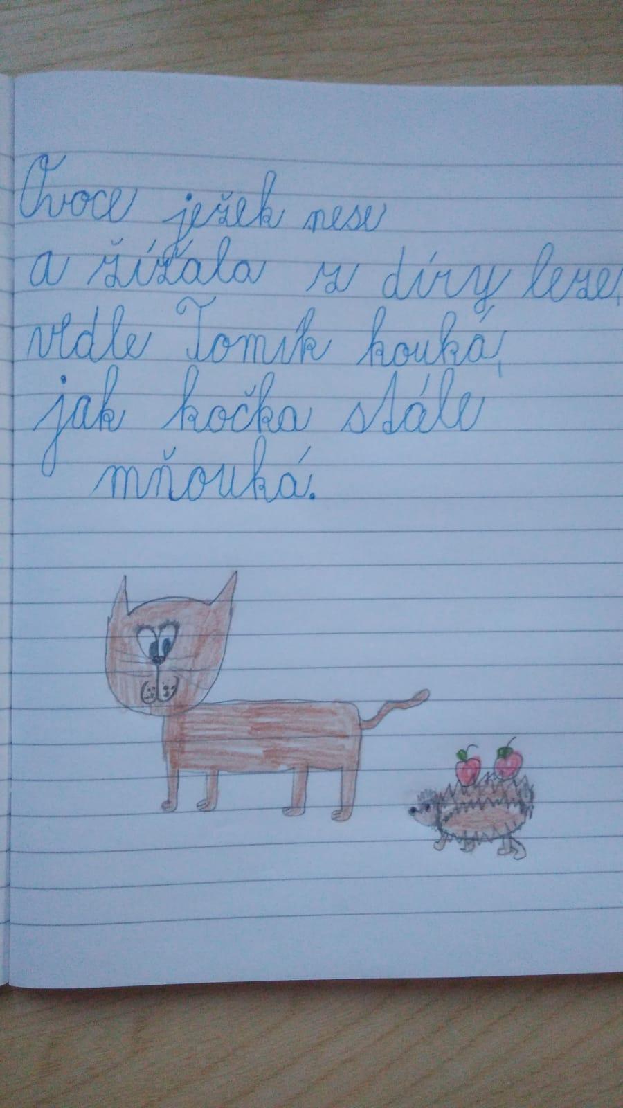 Domškoláctví u prvňáků - 34