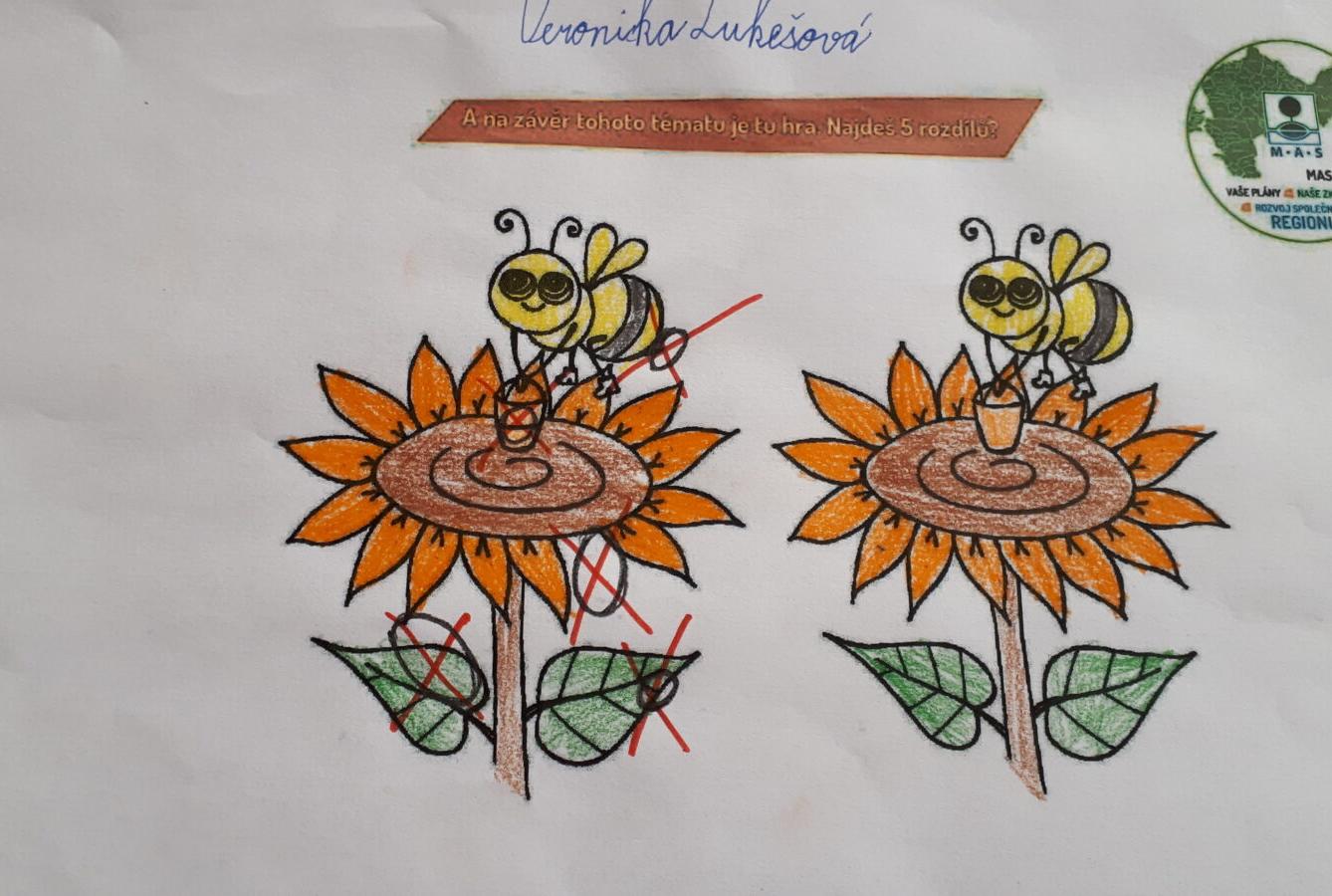 Distanční výuka ve třetí třídě 8. 1. - 8