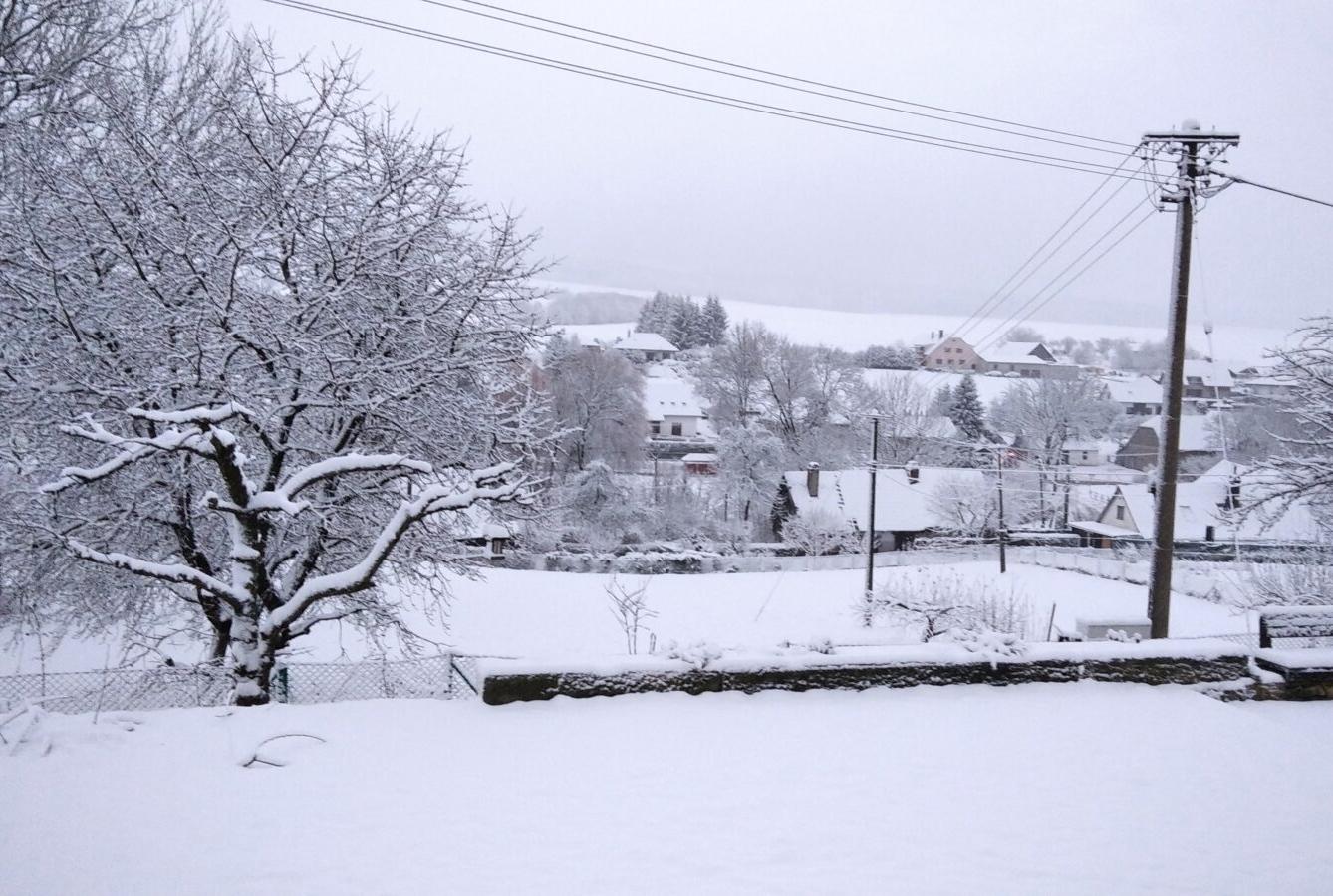 Distanční výuka ve třetí třídě 8. 1. - 9