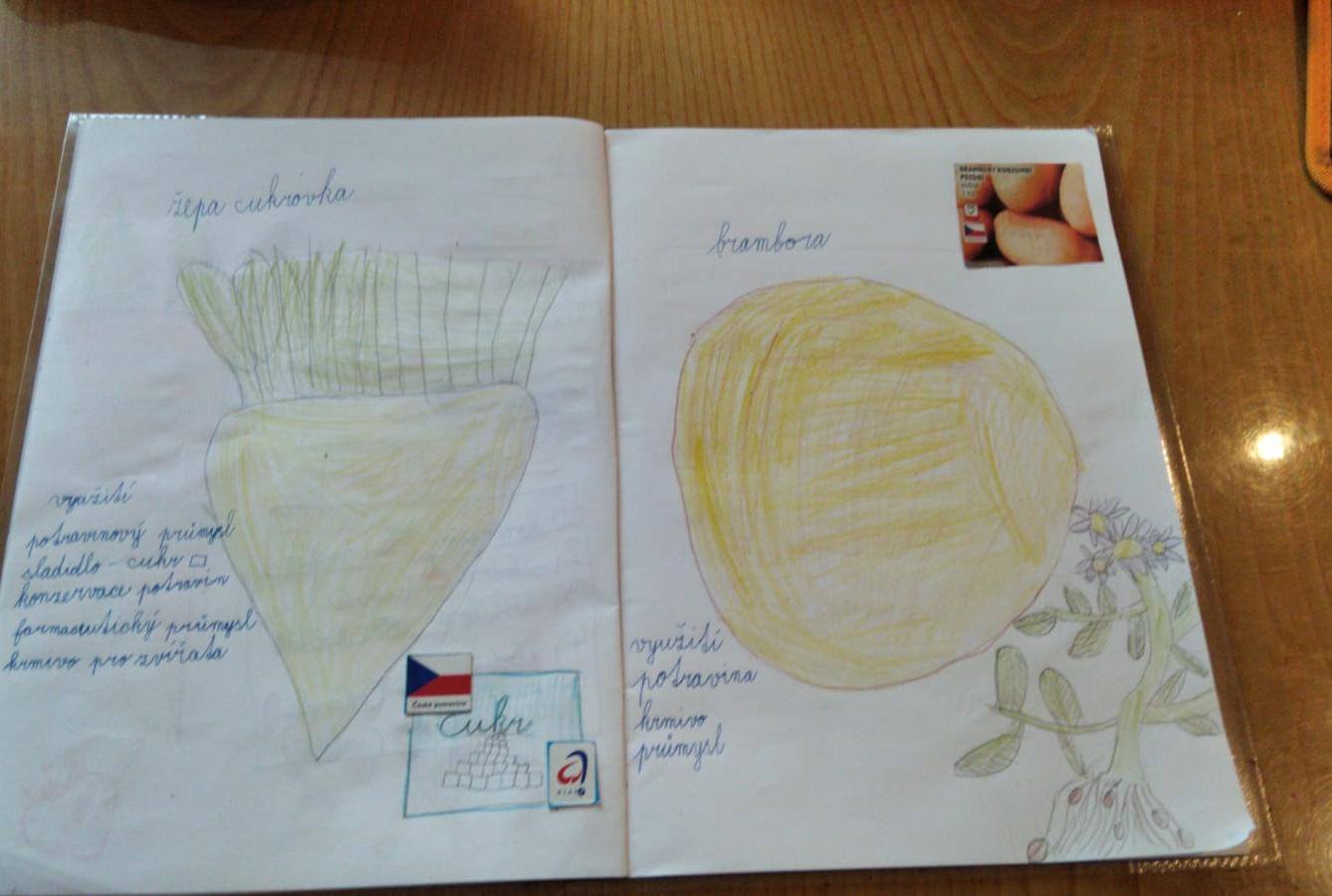 Distanční výuka ve třetí třídě 23. 10. - 45