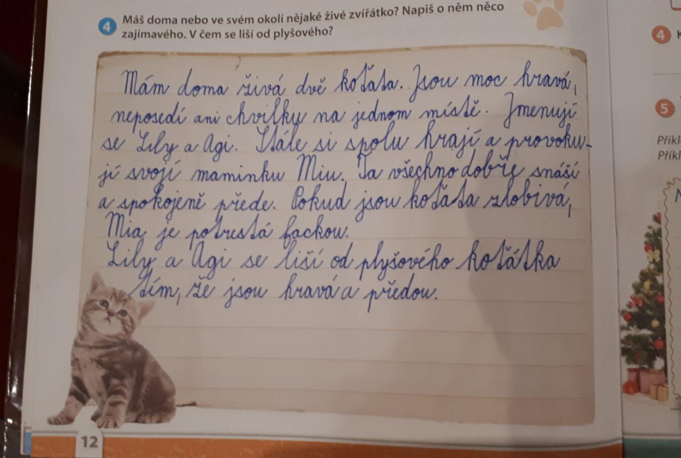 Distanční výuka ve třetí třídě 6. 11. - 47