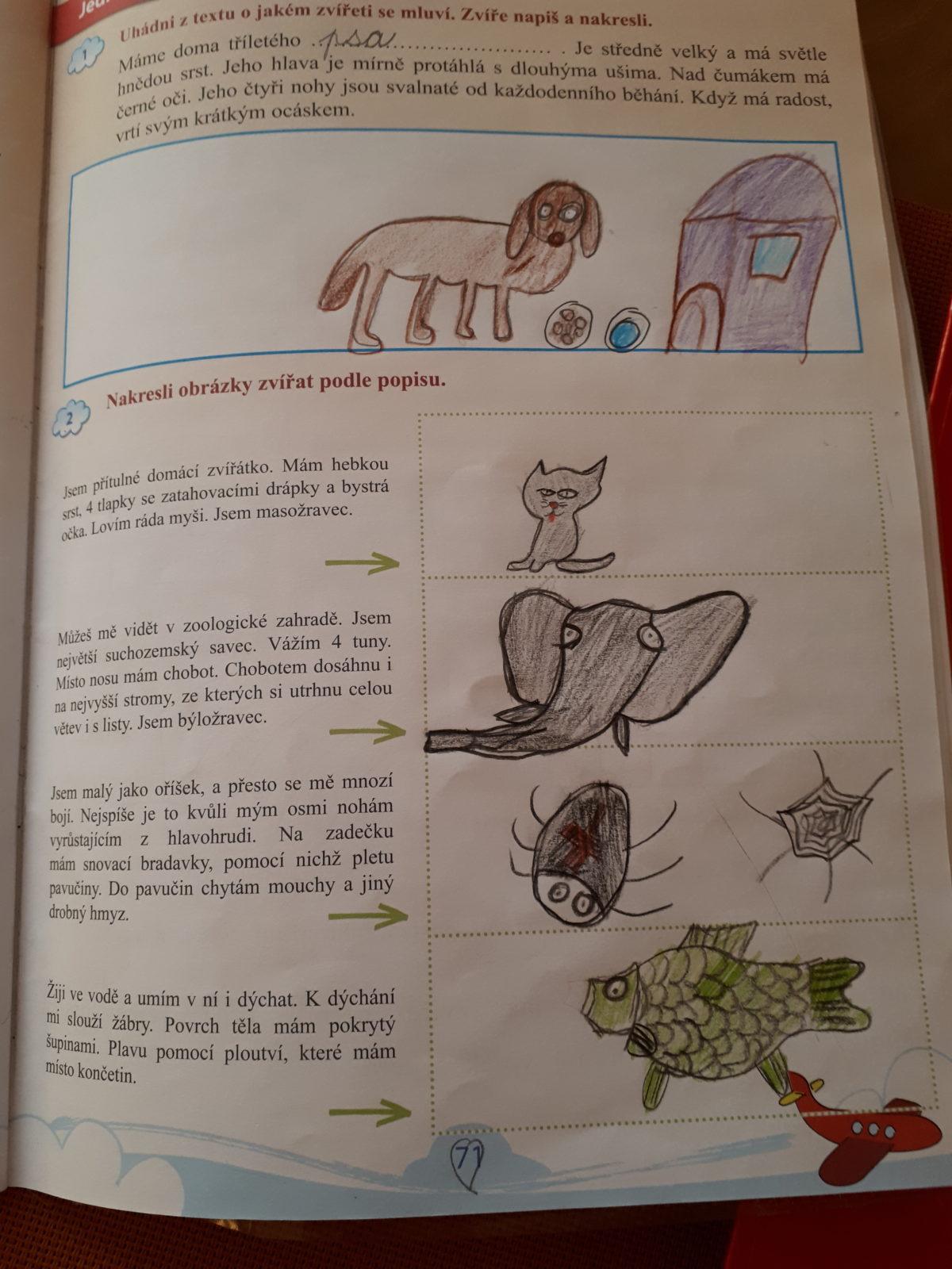 Výstupy druháčků z domácího učení 8. 4. - 23