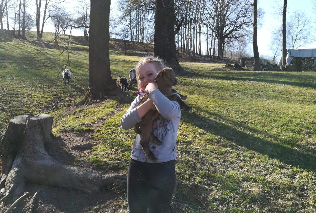 Výstupy druháčků z domácího učení 13. 4. - 13