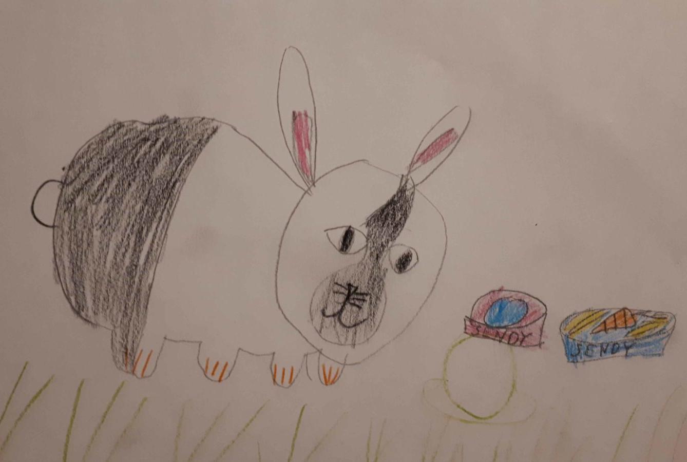 Výstupy druháčků z domácího učení 16. 4. - 9