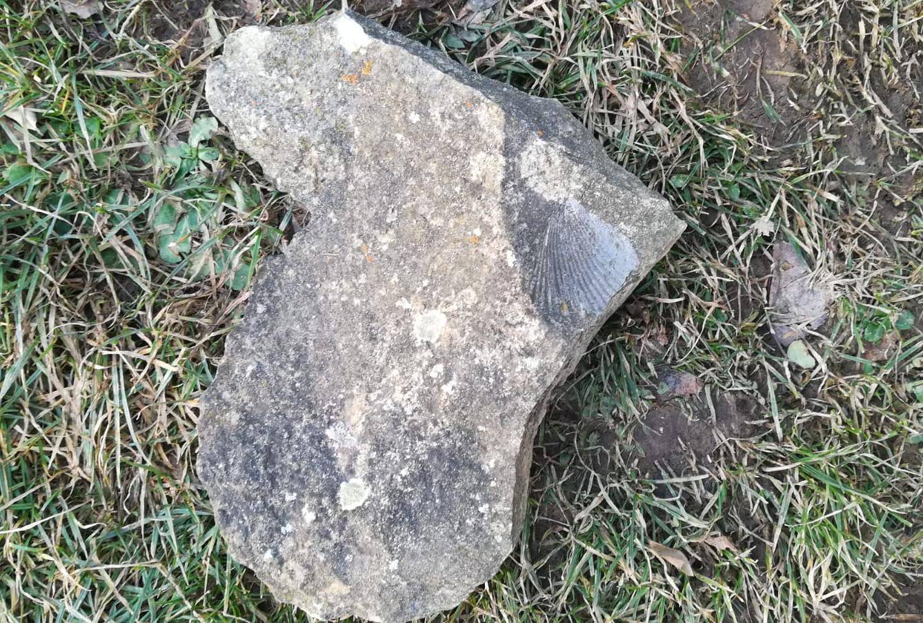 Distanční výuka ve třetí třídě 26. 2. - 43