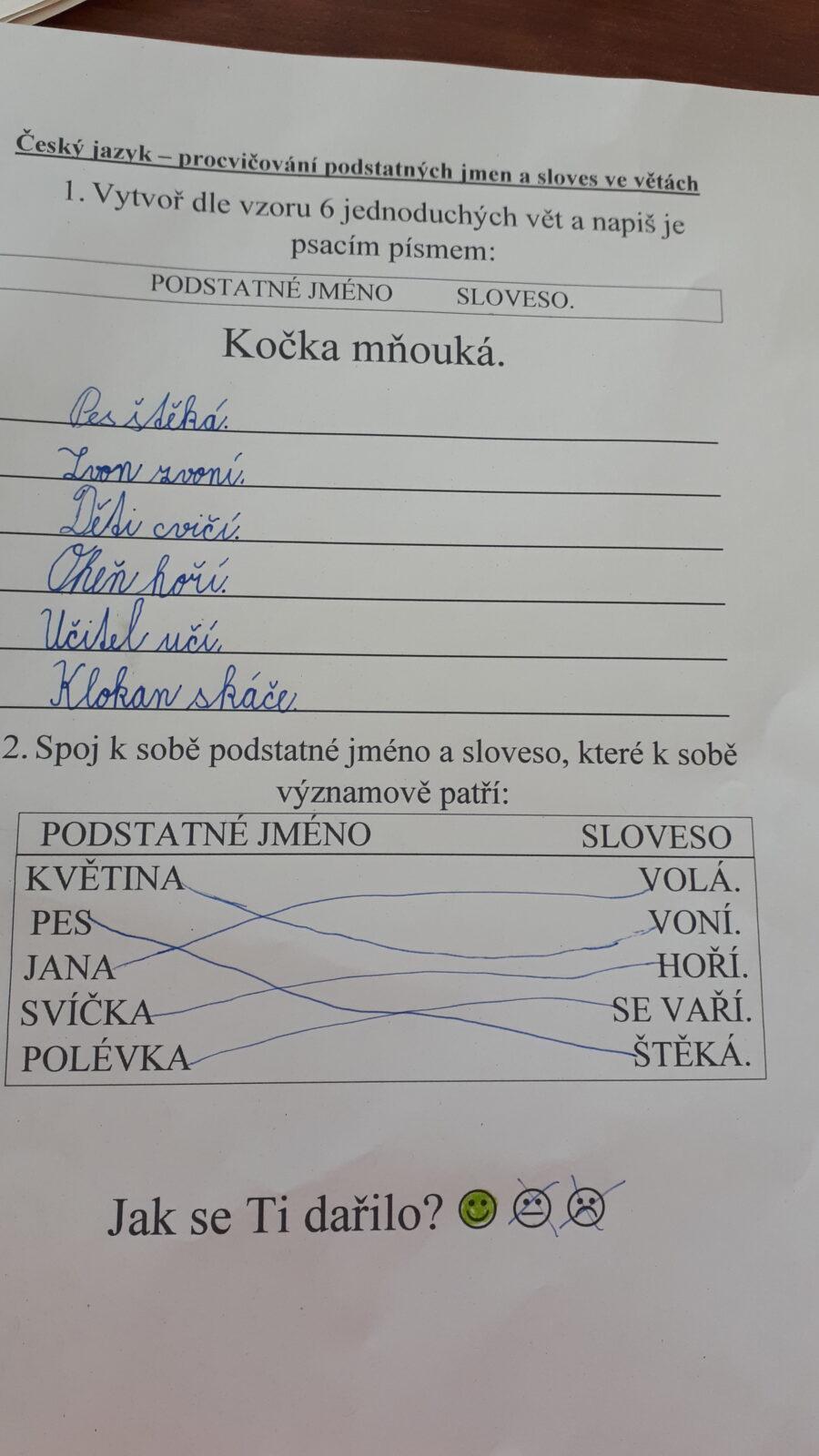 Výstupy druháčků z domácího učení 21. 5. - 29