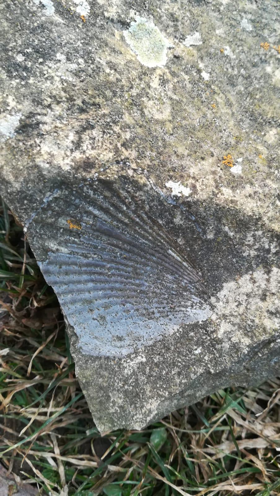 Distanční výuka ve třetí třídě 26. 2. - 44