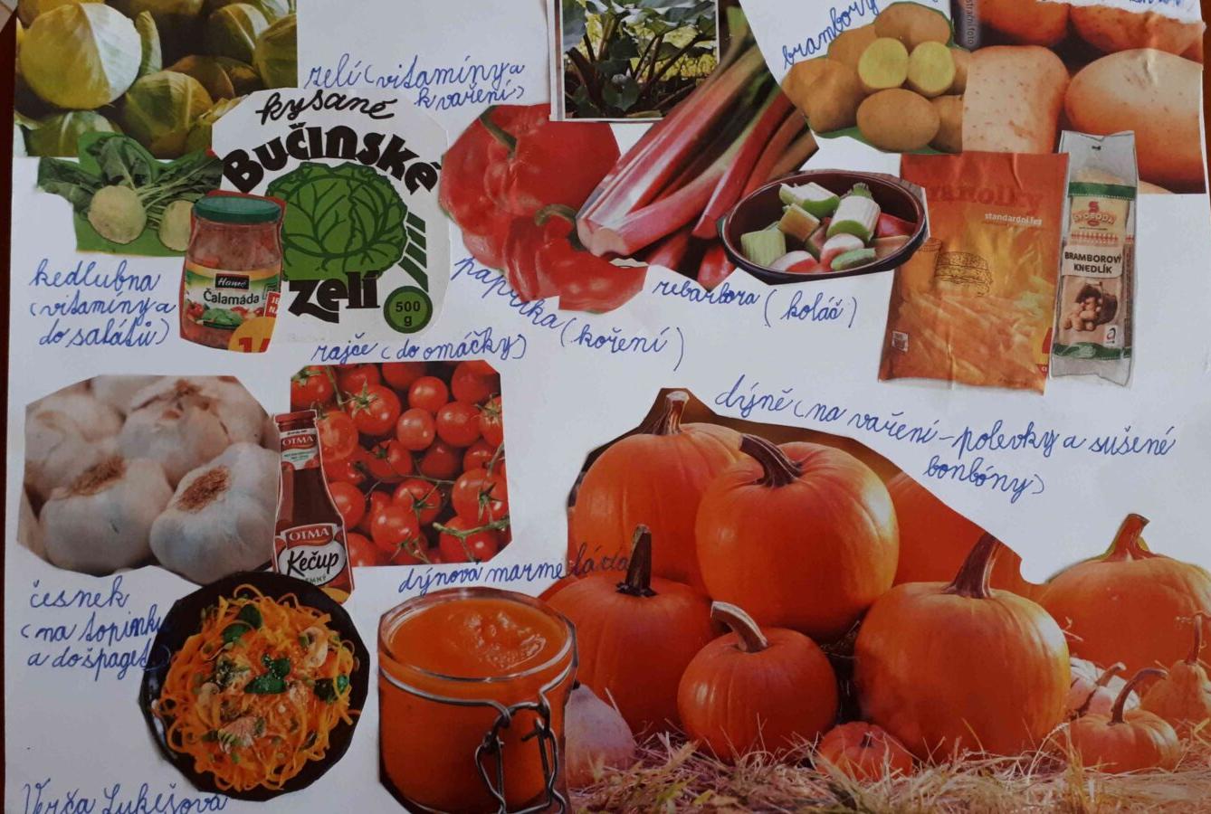 Výstupy druháčků z domácího učení 24. 5. - 36