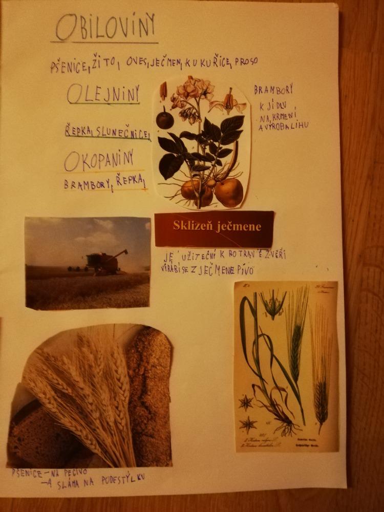 Distanční výuka ve třetí třídě 23. 10. - 56