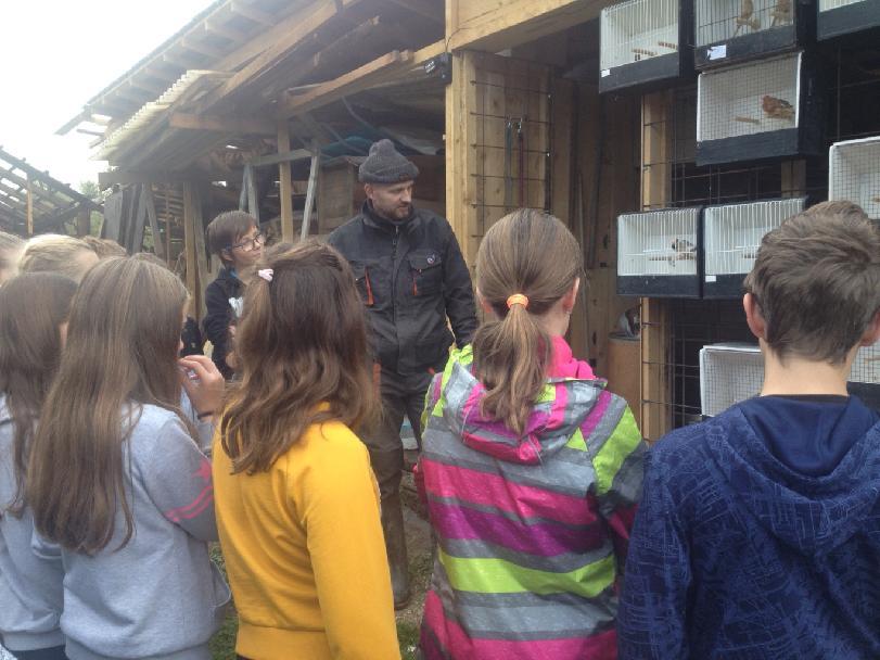 Chov zebřiček a hýlů - šesťáci - 3