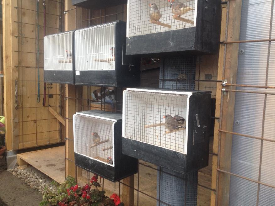 Naši florbalisté poprvé v kraji - 1