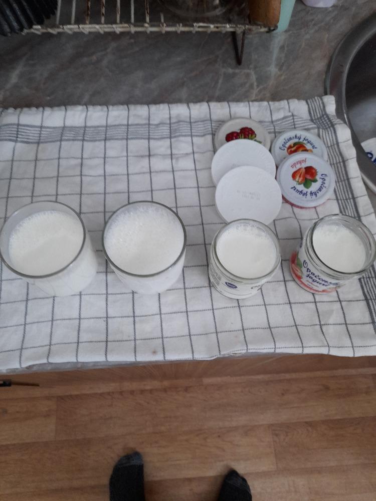Laboratorní práce - výroba jogurtu - 3