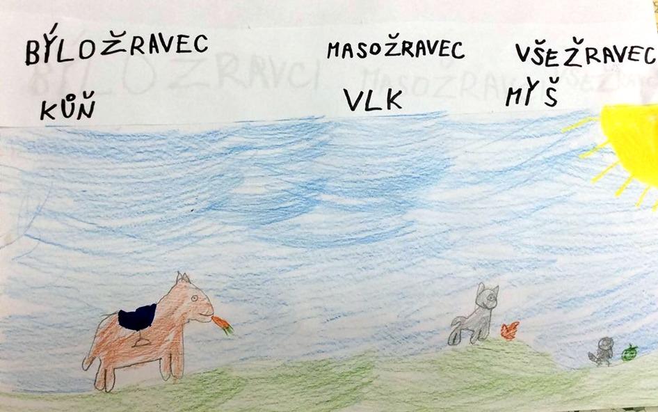 Příroda u třeťáčků 30. 5. - 48