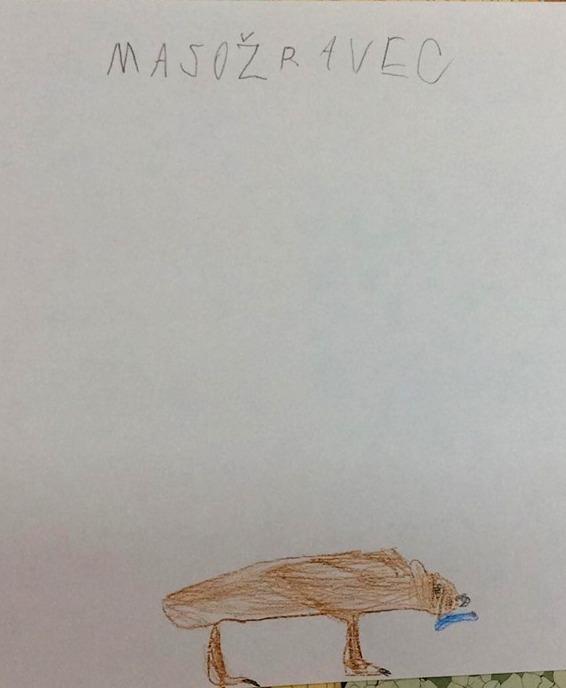 Příroda u třeťáčků 30. 5. - 49