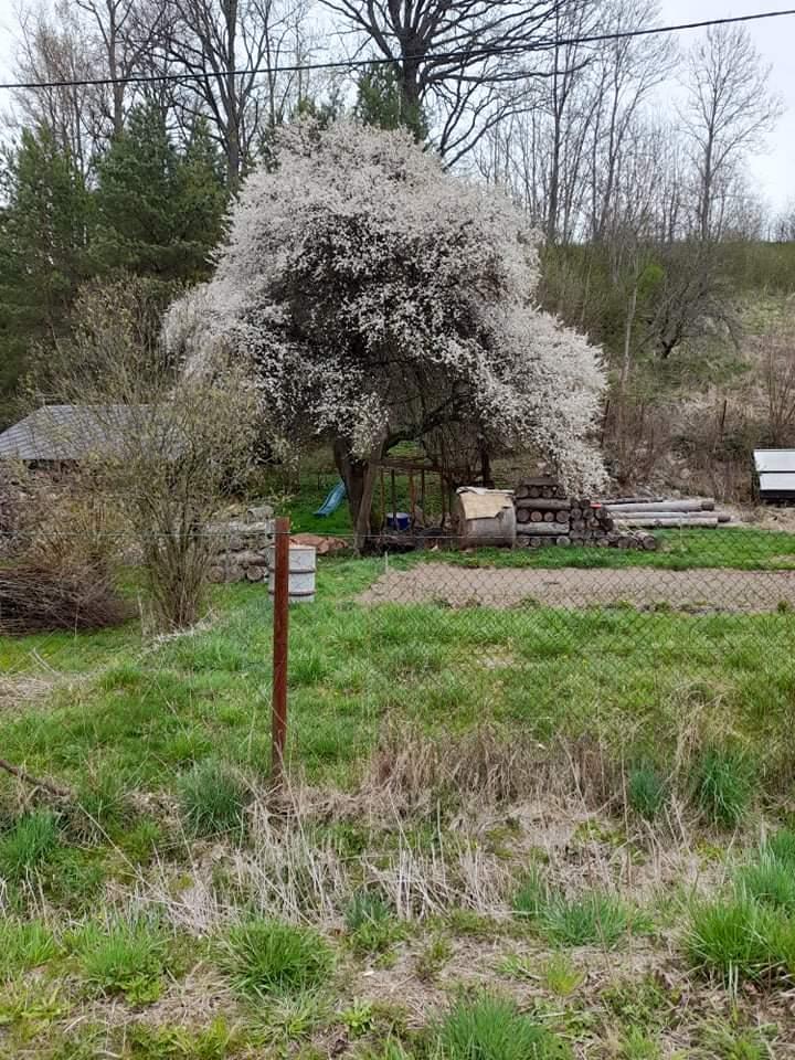 ŠD - návštěva hospodářství u Novotných - 1