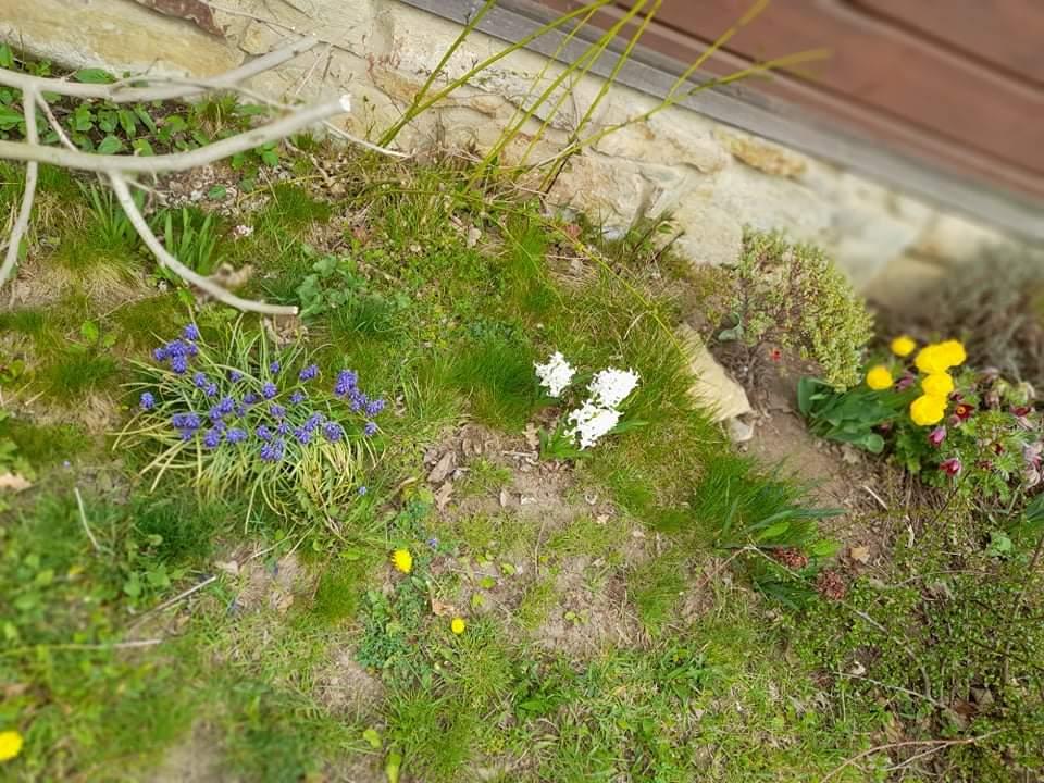 ŠD - návštěva hospodářství u Novotných - 17