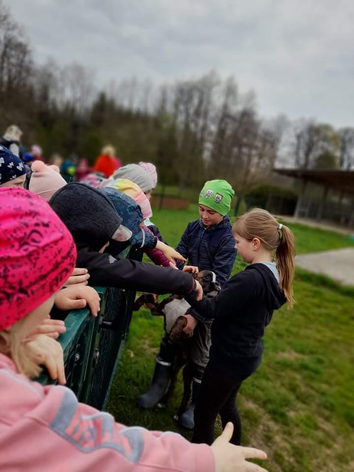 ŠD - návštěva hospodářství u Novotných - 20