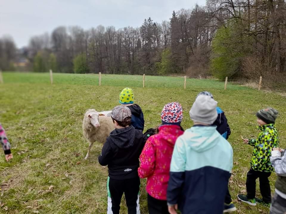ŠD - návštěva hospodářství u Novotných - 25