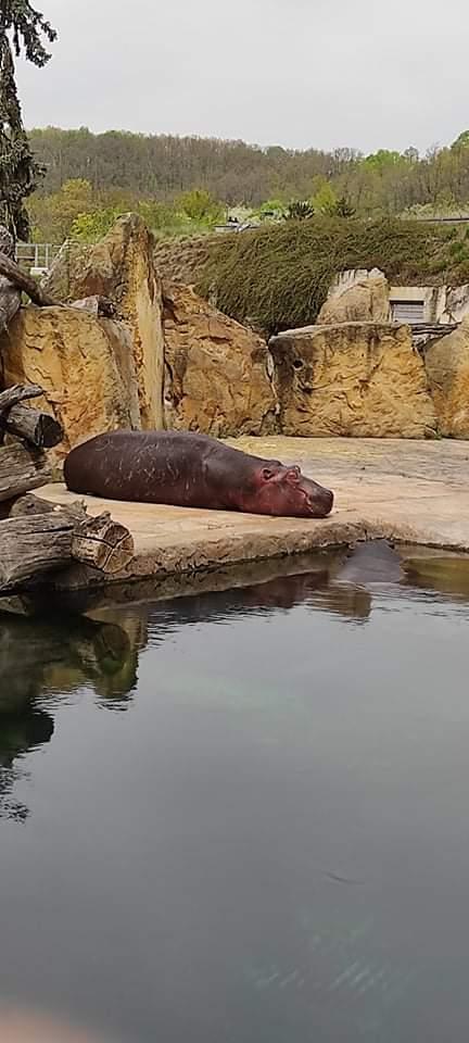 TLAPKY - Praha v ZOO - 64