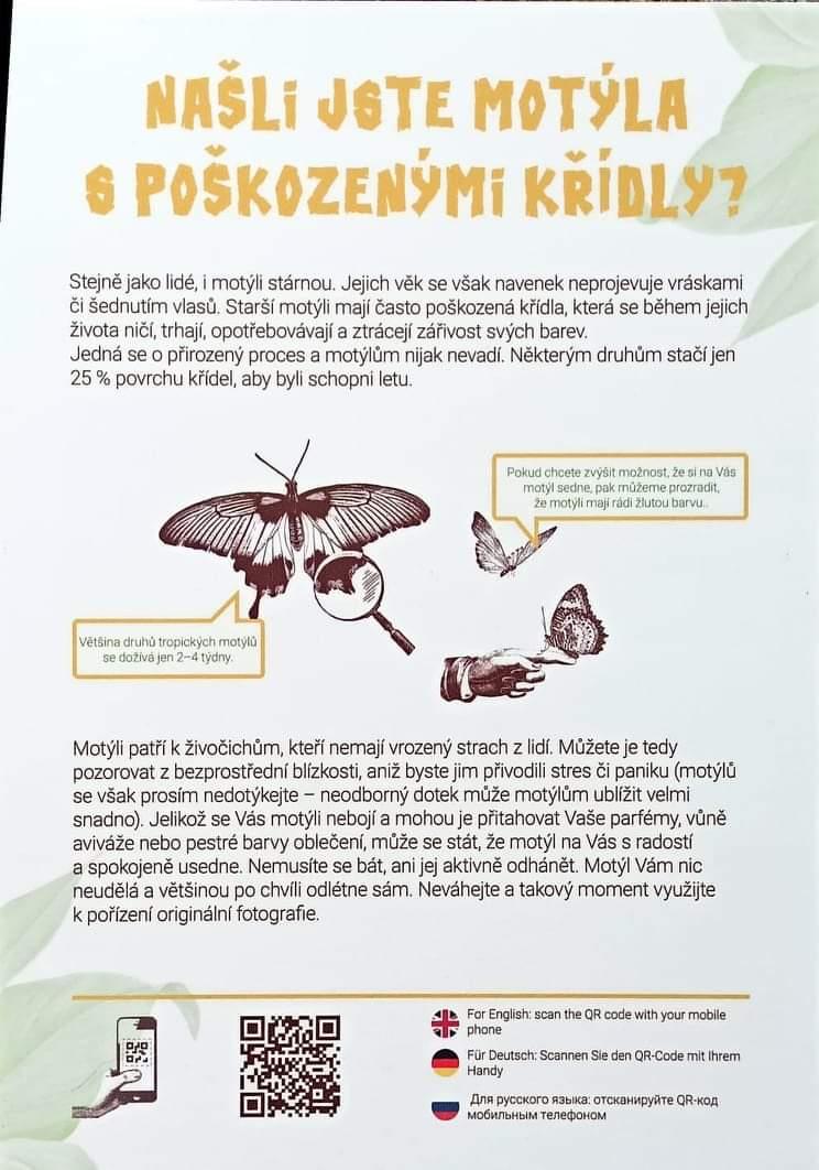 TLAPKY - 2 - motýlci a HAMELYS - 69