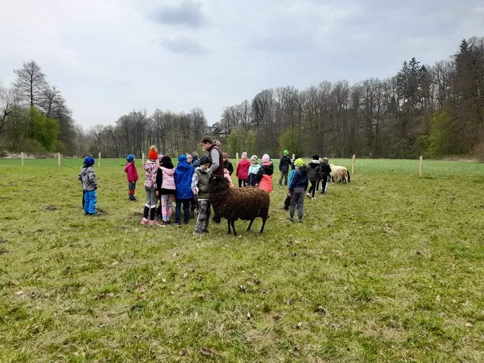 ŠD - návštěva hospodářství u Novotných - 29